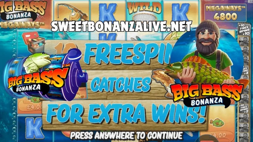 Free spins in the bonus game of Big Bass Bonanza slot from provider Pragmatic Play are pictured.