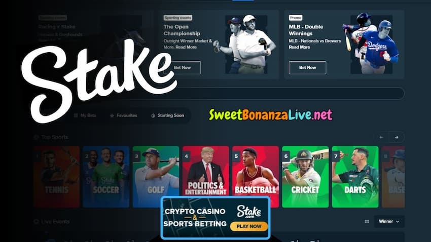 Sports betting and cyber sports betting at Stake.com Casino can be seen in this image.